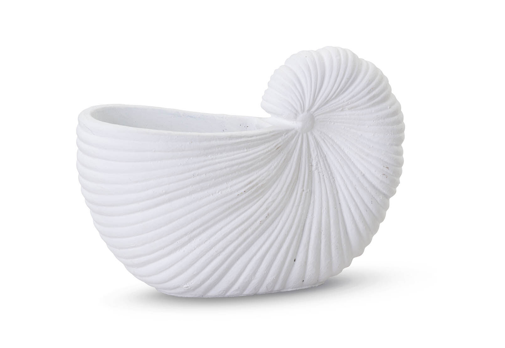 WHITE SEASHELL 14.5x21cm Planter