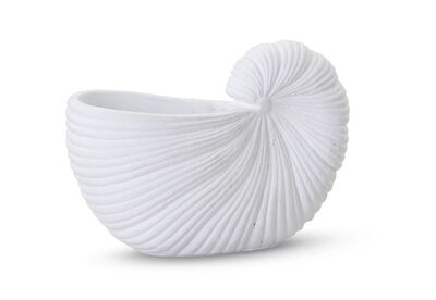 SEASHELL - 14.5x21cm Planter