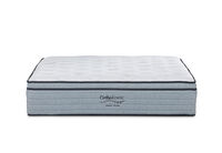 ORTHOKINETIC ARGOS PLUSH