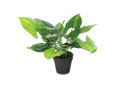 CALLA - Artificial Plant