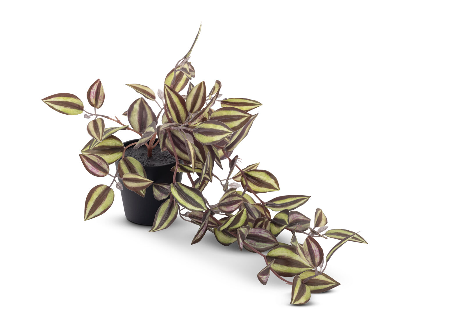 ARTIFICIAL ZEBRINA - Plant ARTIFICIAL ZEBRINA