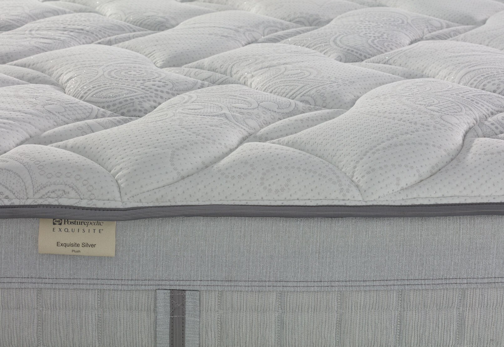 EXQUISITE SILVER FLEX PLUSH