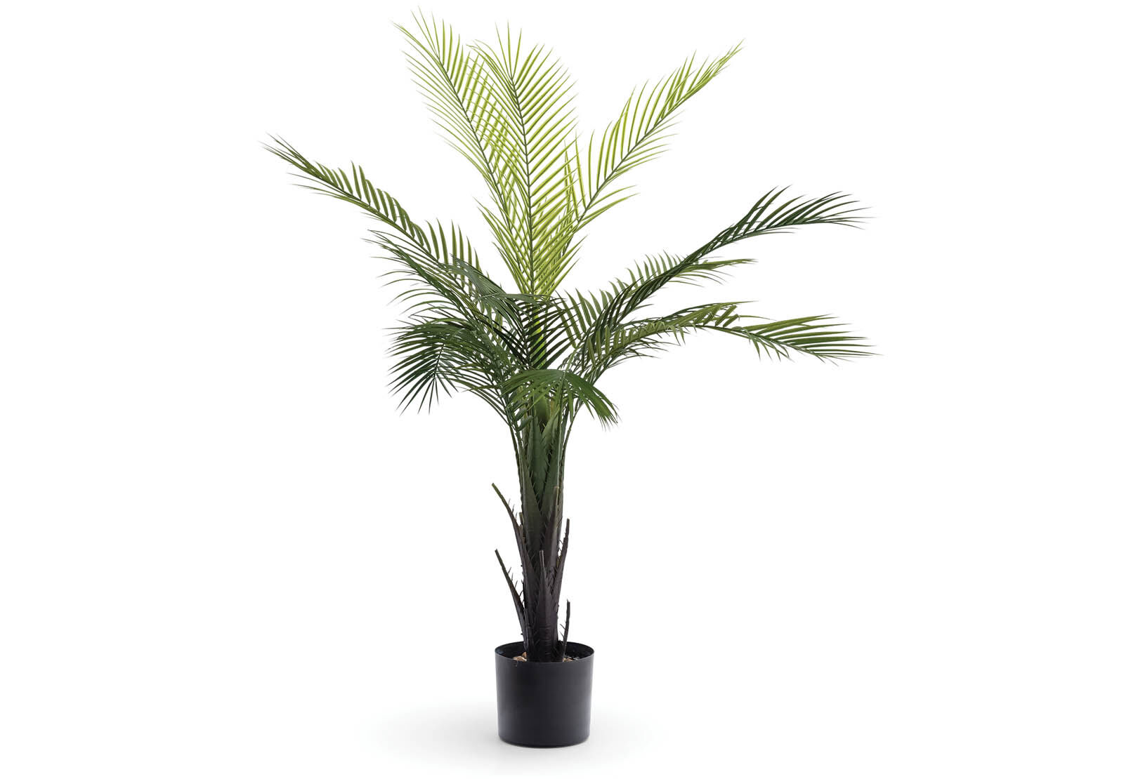 PRESLEY - 120cm Tree PRESLEY
