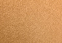 ALCINA LEATHER