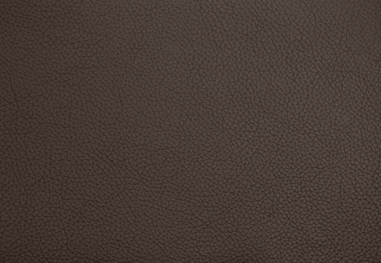 BEARMAN LEATHER - Recliner BEARMAN LEATHER