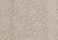 RODDICK FABRIC