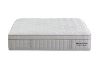 EXQUISITE GOLD FLEX ULTRA PLUSH