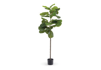 FINLEY - 150cm Tree