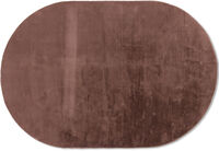ANEMOI