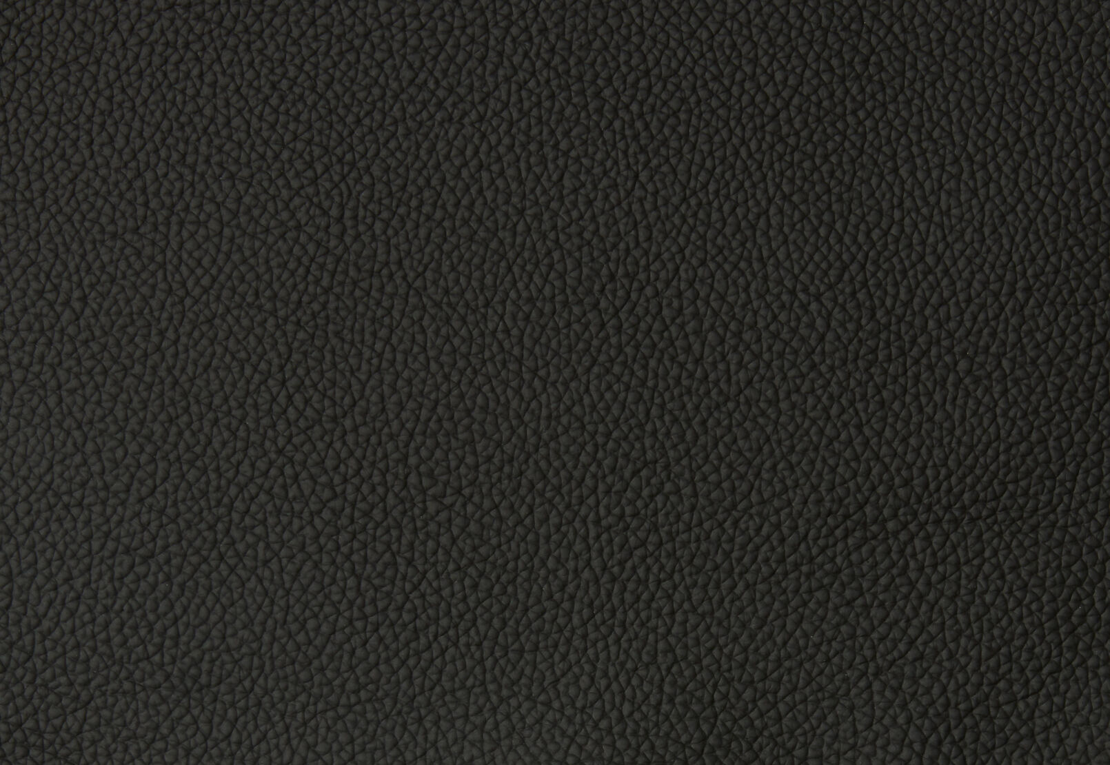 DACIA LEATHER