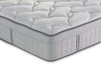 EXQUISITE SILVER PLUSH
