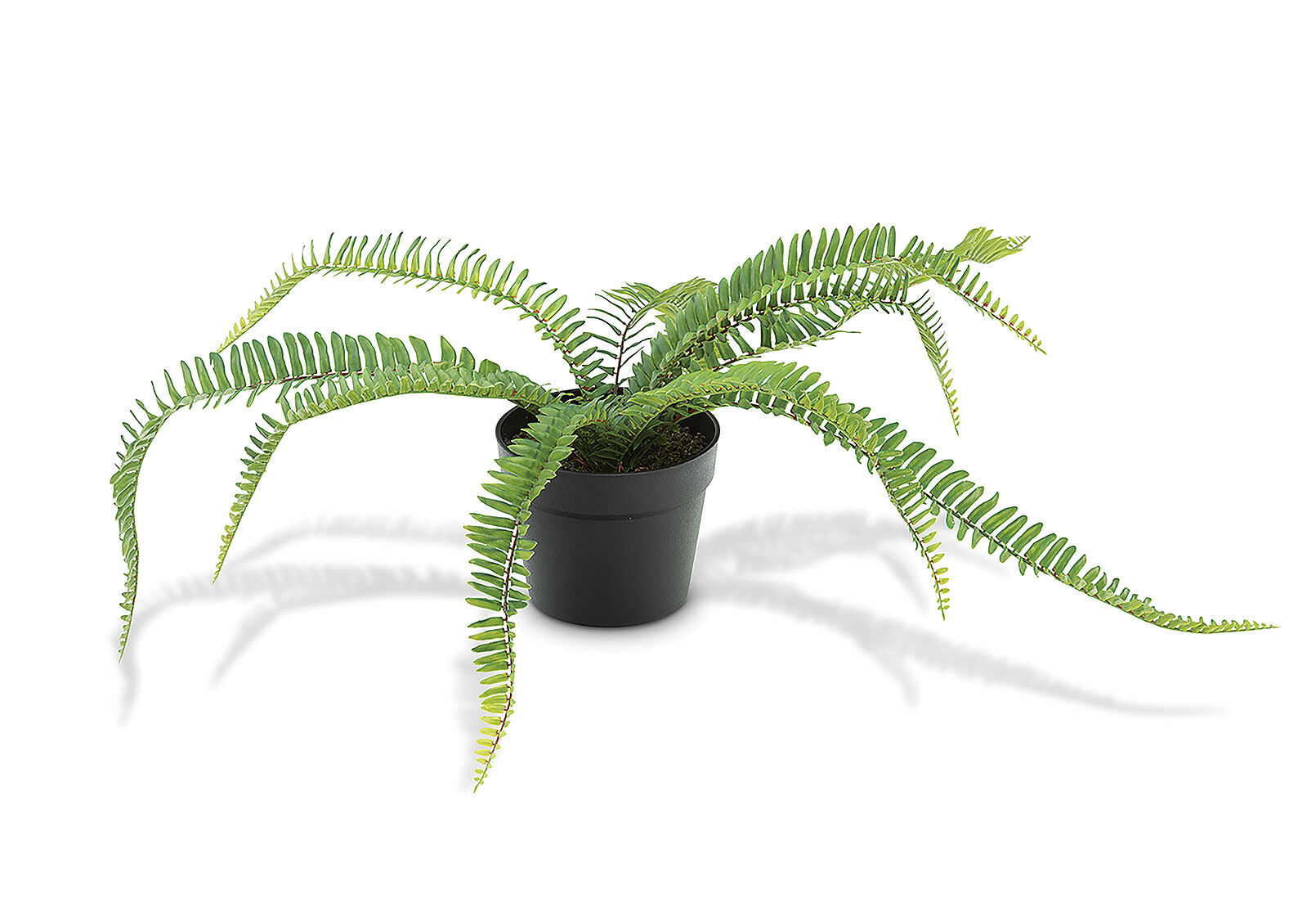 FAUX FERN
