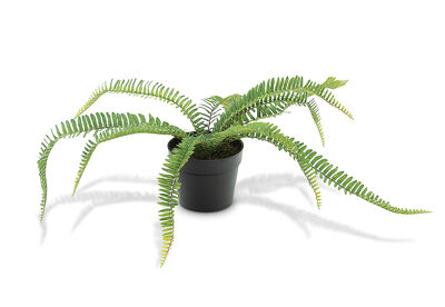 FAUX FERN - Artificial Plant in Plastic Pot