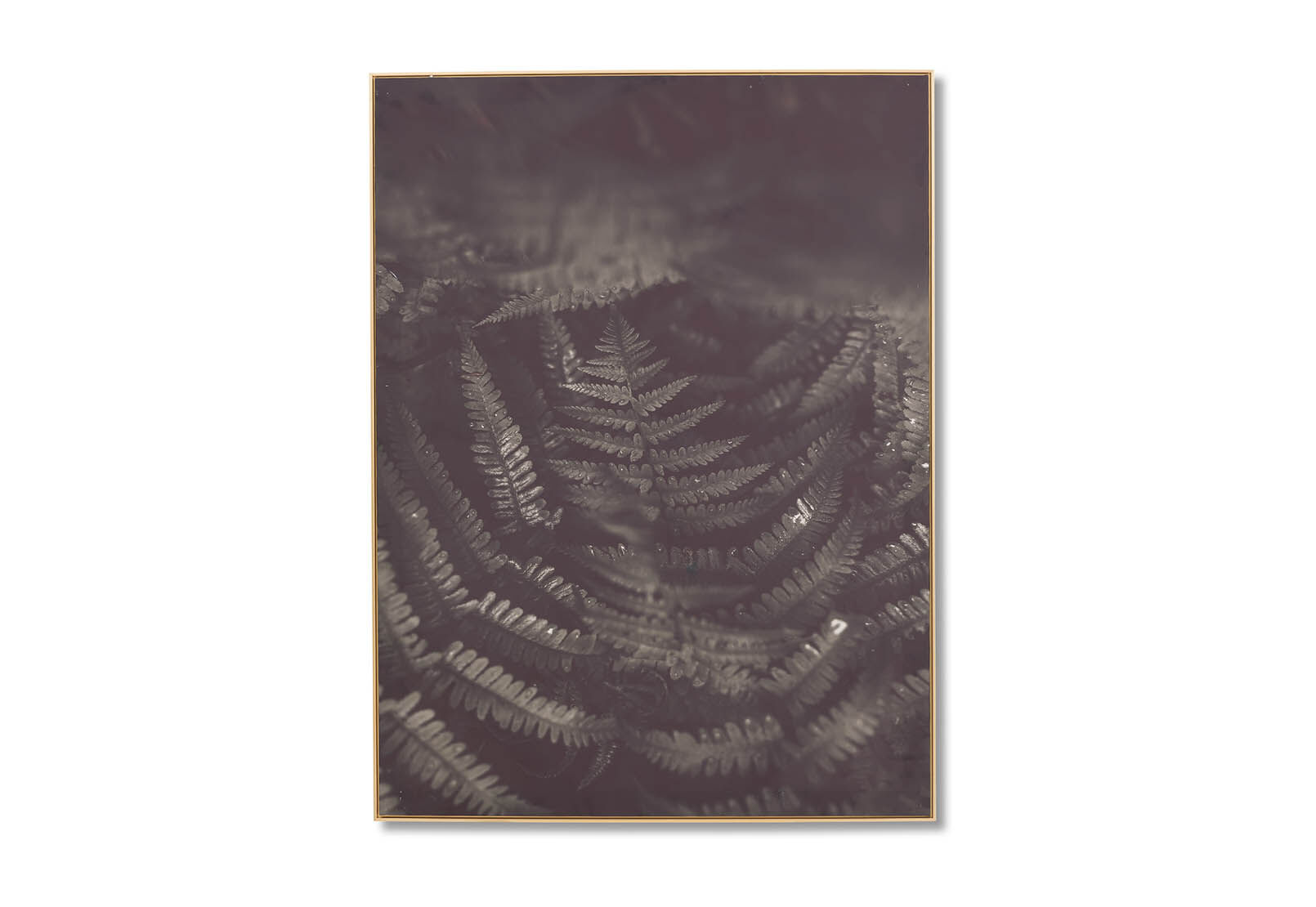 INTO THE FOREST - Wall Art 90 x 120cm INTO THE FOREST