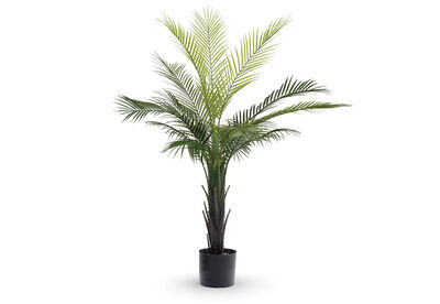 PRESLEY - 120cm Tree