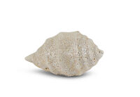 LEAFORA CERAMIC