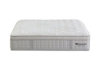 EXQUISITE GOLD FLEX ULTRA PLUSH