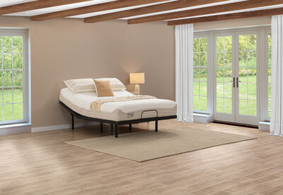 ORTHOKINETIC HYBRID FUSION MEDIUM - Queen Motion Bed Package