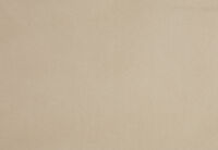 LEANDRO