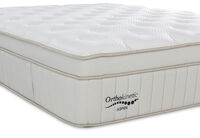 ORTHOKINETIC ASPEN PLUSH - Double Mattress ORTHOKINETIC ASPEN PLUSH