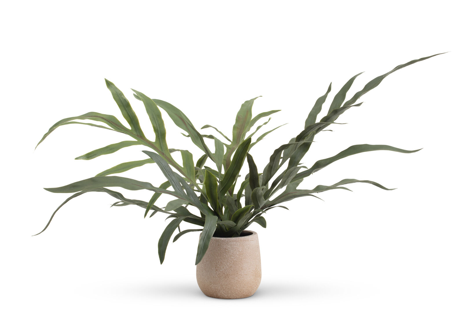 ARTIFICIAL BLUE STAR - Fern Pot ARTIFICIAL BLUE STAR
