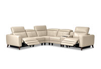 SPECTRA LEATHER