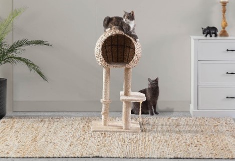 cats on cat scratcher