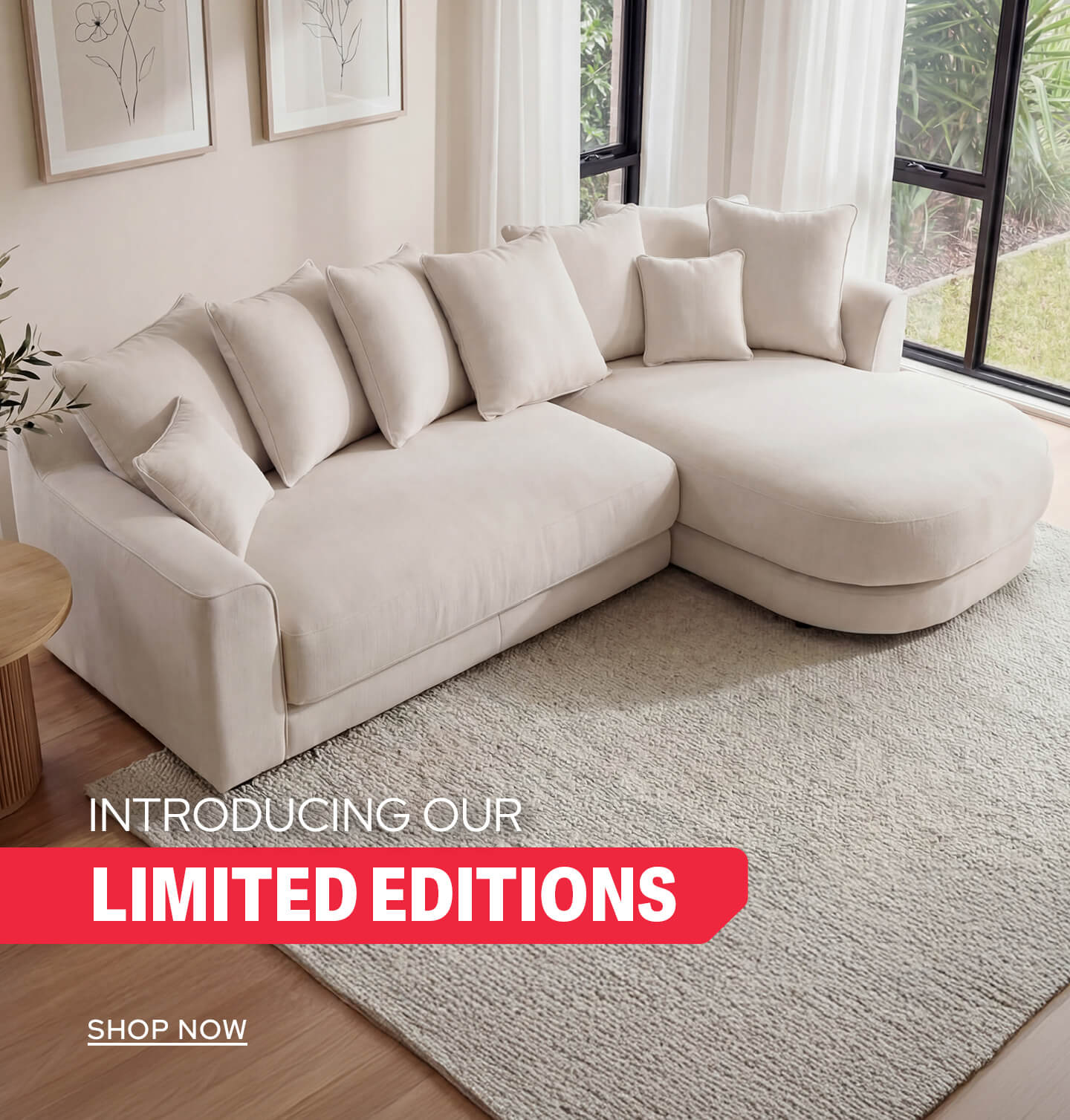 Introducing Limited Editions
