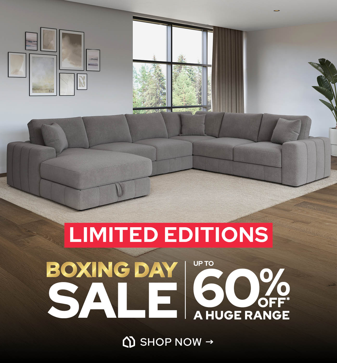 Boxing Day Limited Editions