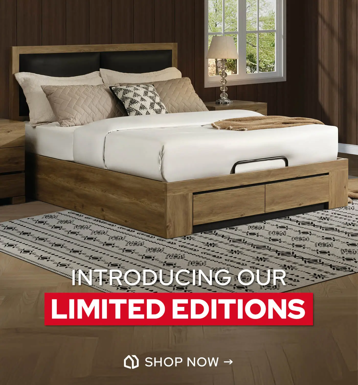 Introducing Our Limited Editions