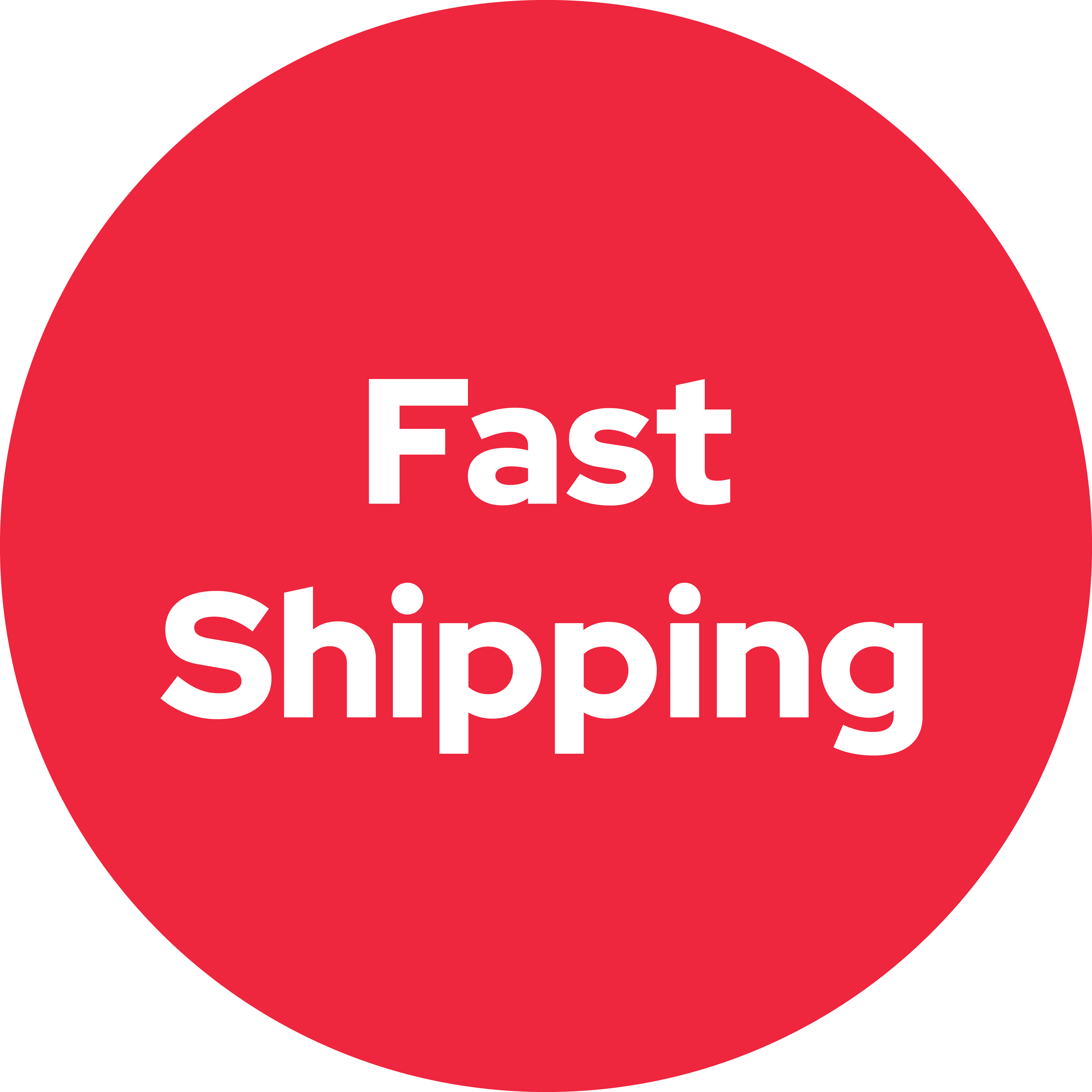 GREEN GREER Animal Palms Framed Canvas Wall Art 50x70cm Amart Furniture